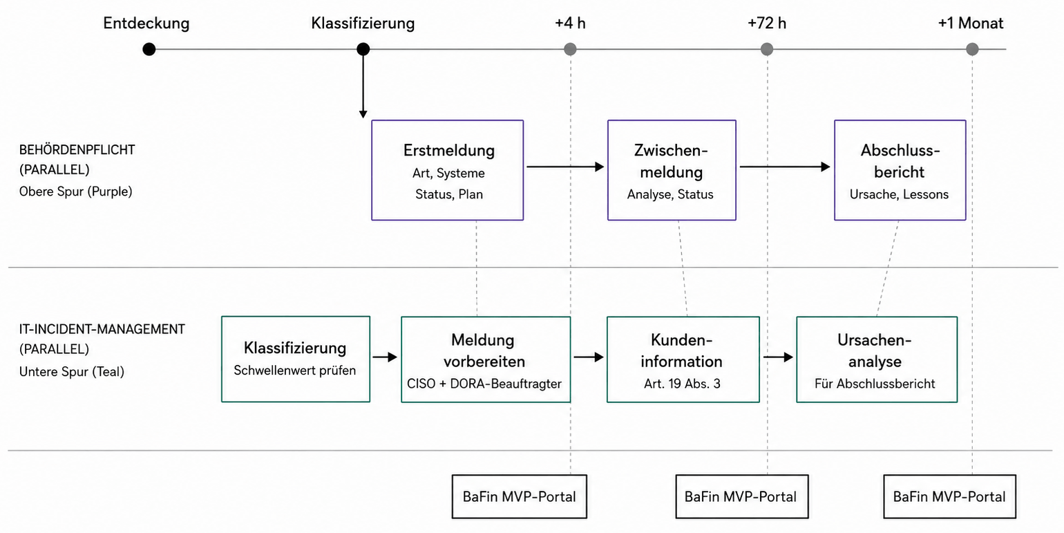 Swimlane-Diagramm DORA Meldepflicht: Behördenspur (Erstmeldung 4h, Zwischenmeldung 72h, Abschlussbericht 1 Monat) und IT-Incident-Management-Spur (Klassifizierung, Meldungsvorbereitung, Kundenkommunikation, Ursachenanalyse) laufen parallel – alle drei Behördenmeldungen werden durch Ereignisse in der internen Spur ausgelöst.